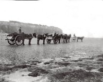 Beach working party Cockle/mussel collecting on Hunstanton beach; Original caption: Beach working party