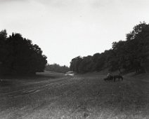 Pony & 2 in trap in field Ringstead Downs looking east from Ringstead access Original caption: Pony and 2 in trap in field