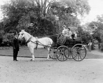 2 girls in governess cart Original caption: 2 girls in governess cart