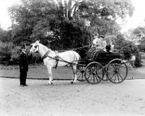 2 in governess cart Original caption: 2 in governess cart