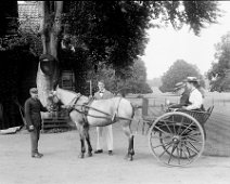 Gertie & Gerald in cart with Mr. Lucas Sedgeford Hall Original caption: Gertie and Gerald in cart with Mr. Lucas