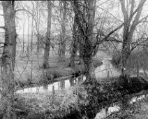 Woodland with stream Heacham River at Sedgeford Original caption: Woodland with stream