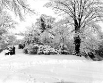 Donald in drive with dogs in deep snow Original caption: Donald in drive with dogs in deep snow