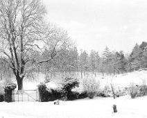 Garden whie gate and woods in snow Original caption: Garden whie gate and woods in snow