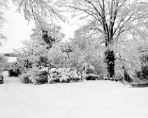 Tree by river in snow, and front drive to gate Original caption: Tree by river in snow, and front drive to gate