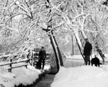 Waterfall deep snow- Father, Major etc Original caption: Waterfall deep snow- Father, Major etc