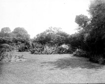 Garden not Sedgeford Original caption: Garden (not Sedgeford)