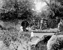 3 in the kitchen garden Original caption: 3 in the kitchen garden