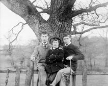 Reggie, Donald & Gertie on railings in cowfield Original caption: Reggie, Donald and Gertie on railings in cornfield