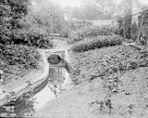 Kitchen garden Original caption: Kitchen garden