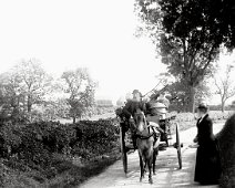 Mr. Tayler with basket cart Fring Lane Original caption: Mr. Tayler with basket cart