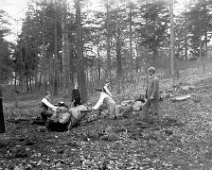 Family sawing wood Sedgeford Hall park Original caption: Family sawing wood