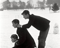 3 boys on one small toboggan Original caption: 3 boys on one small toboggan