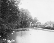 Pond with ducks Fring Docks and road to Bircham Original caption: Pond with ducks