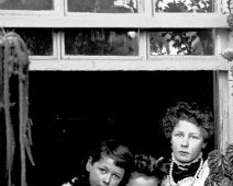 3 girls looking in from greenhouse window Original caption: 3 girls looking in from greenhouse window