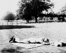 Man and dog lying on grass Original caption: Man and dog lying on grass