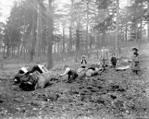 Family logging wood Original caption: Family logging wood