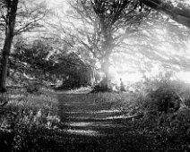 2 ladies by a woodland path Original caption: 2 ladies by a woodland path