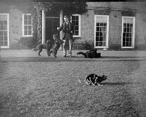 Father with dogs on lawn at Sedgeford Hall Original caption: Father with dogs on lawn