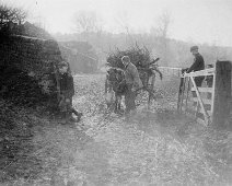 Sedgeford lane Field gate off Fring Lane Original caption: Sedgeford lane