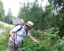 20150810_114033 Raspberries on the Opfelchuechliweg