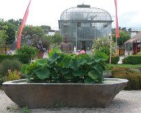 20150804_170027 The Botanical Garden, Geneva