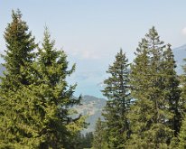 Nikon_20150811_100715 Thunersee from the route up to Schynige Platte