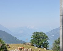 Nikon_20150811_100913 Thunersee from the route up to Schynige Platte