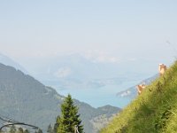 Nikon_20150811_100538 Thunersee from the route up to Schynige Platte